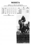 Modeta-80w