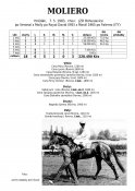 Moliero-83w