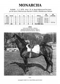 Monarcha-79w