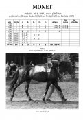 Monet-87w