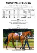 Moneymaker-slo-01w