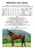 Moning-let-slo-01w