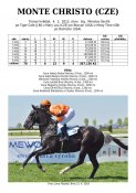 Monte_christo-12w