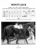 Monty-jack-91w