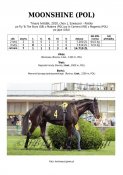 Moonshine-pol-10w