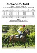 Moravanka-13w