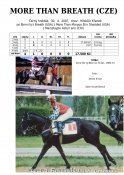 More_than_breath-07w