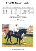 Morinello-cze-96-alt-w