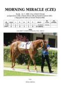 Morning-miracle-09w