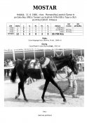 Mostar-86w