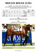 Moulin-rouge-10w