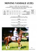 Moving_vandale-96w