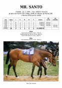 Mr-santo-91-ads-w