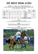 My_best_risk-02w