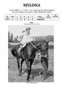 Mylona-71w