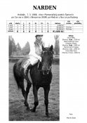 Narden-88w