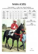 Nasa-94-ads-w