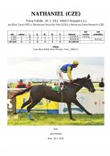 Nathaniel-12w