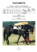 Navareta-88w