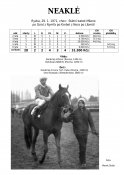 Neakle-71w