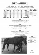 Ned-amiral-77w