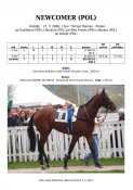 Newcomer-pol-08w