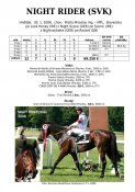 Night_rider-svk-06w