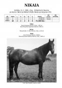 Nikaia-81w
