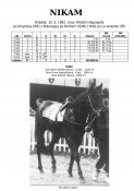 Nikam-92-am-w