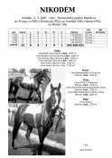 Nikodem-87w