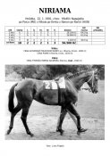 Niriama-91w