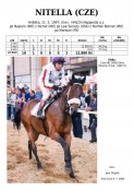 Nitella-97w