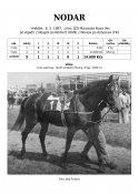Nodar-87-agadir-w
