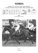 Norda-74-rd-w