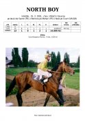 North_boy-91-ads-w