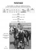 Nozaki-82w