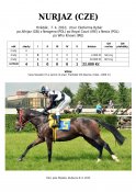 Nurjaz-cze-10-alhijaz-w_2