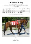 Oceane-06w