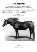 Oklahoma-76-w