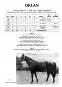 Oklan-81w