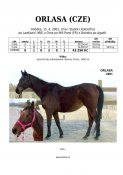 Orlasa-01w