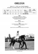 Orlean-78w
