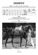 Osment-91w