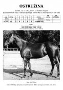 Ostruzina-83w