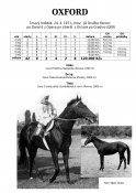 Oxford-71w