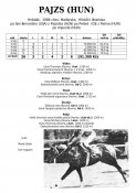 Pajzs-hun-82w