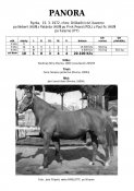 Panora-72w