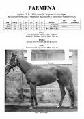 Parmena-83w