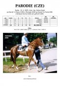 Parodie-05w