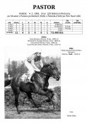 Pastor-83w